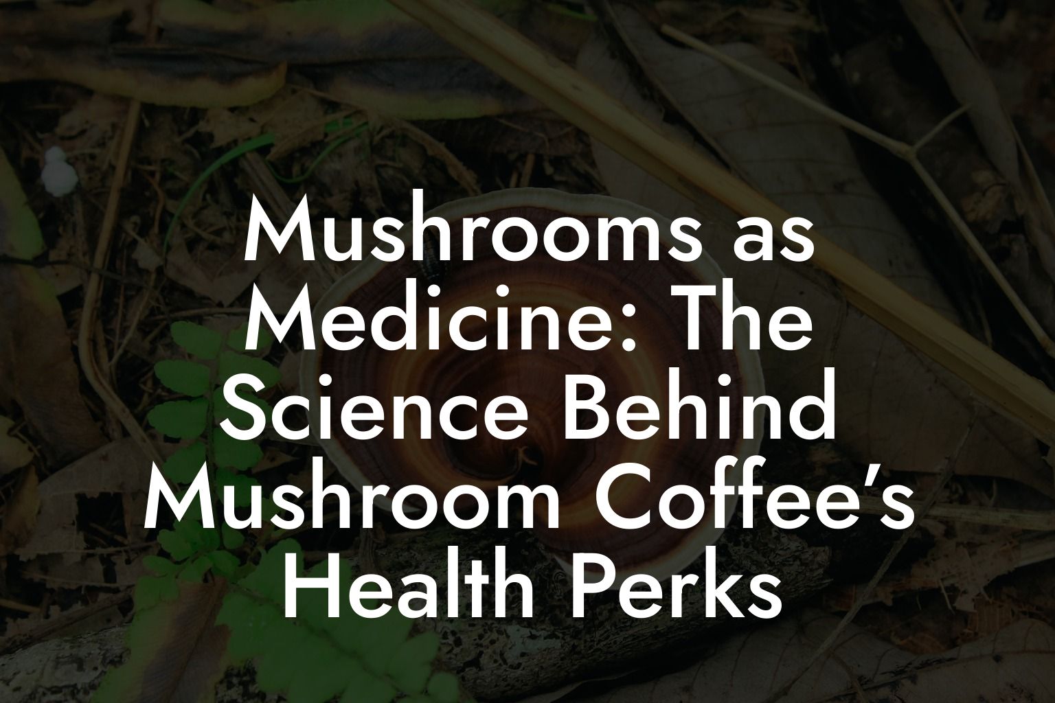 Mushrooms as Medicine: The Science Behind Mushroom Coffee’s Health Perks