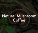 Natural Mushroom Coffee