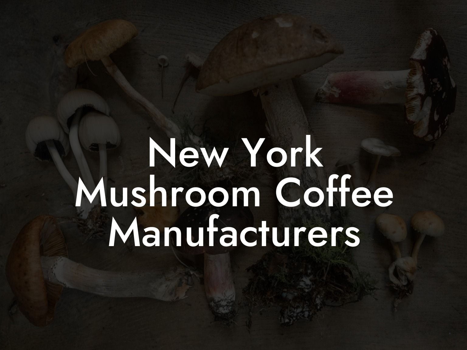 New York Mushroom Coffee Manufacturers