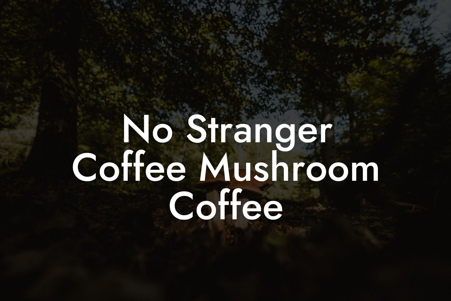 No Stranger Coffee Mushroom Coffee