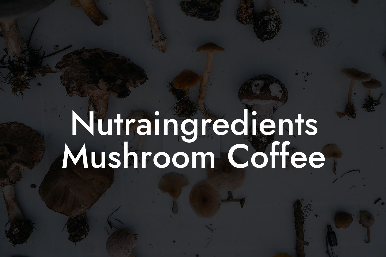 Nutraingredients Mushroom Coffee