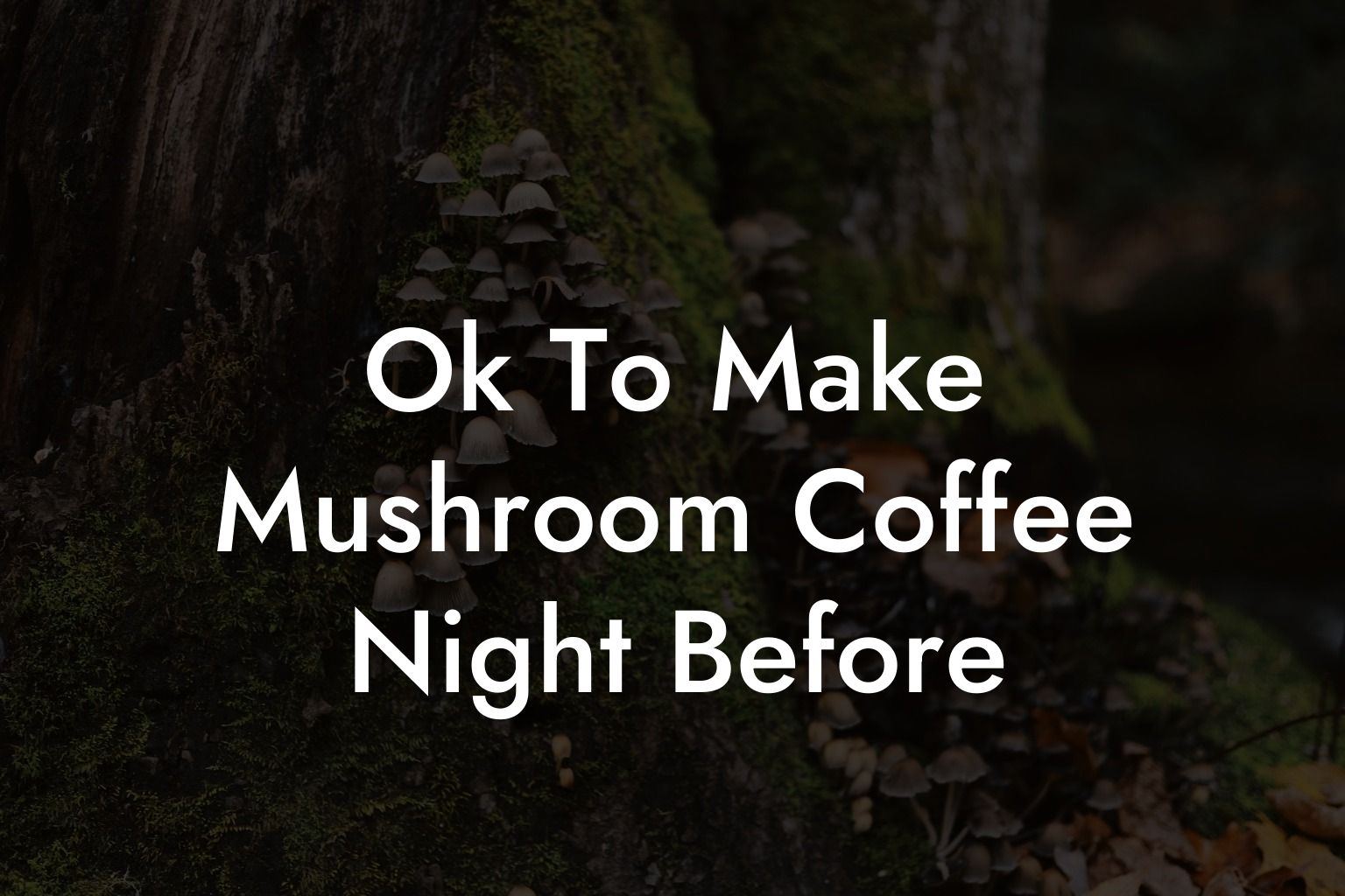Ok To Make Mushroom Coffee Night Before
