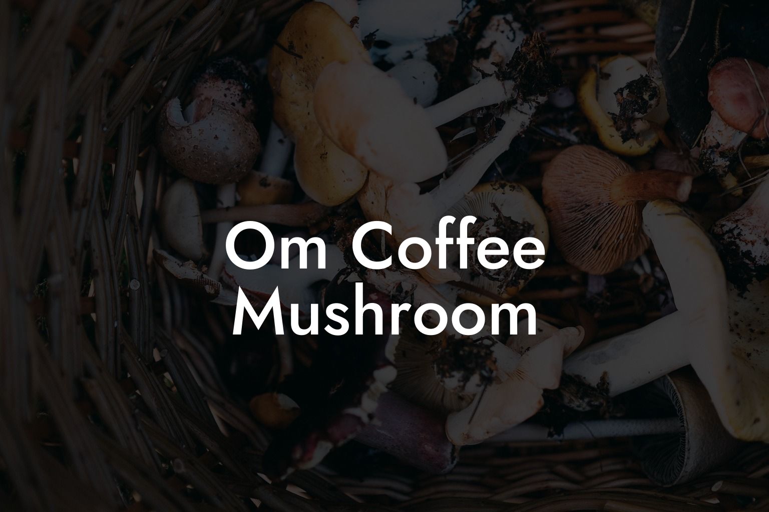 Om Coffee Mushroom