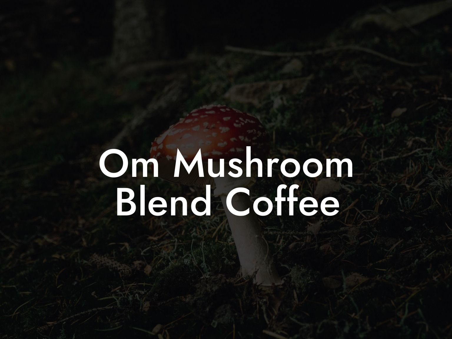 Om Mushroom Blend Coffee