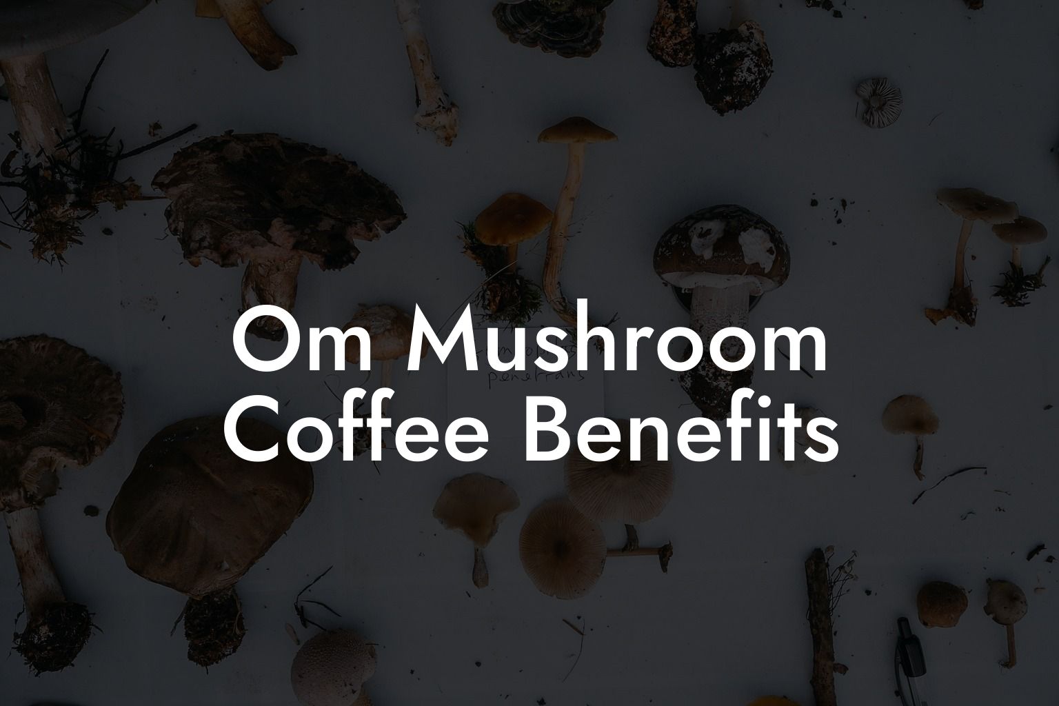 Om Mushroom Coffee Benefits