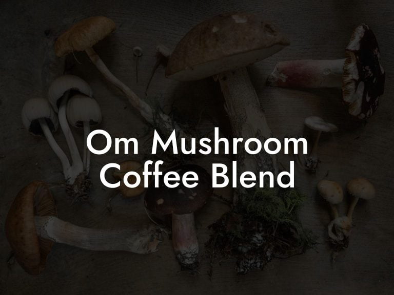Om Mushroom Coffee Blend Mr Mushroom