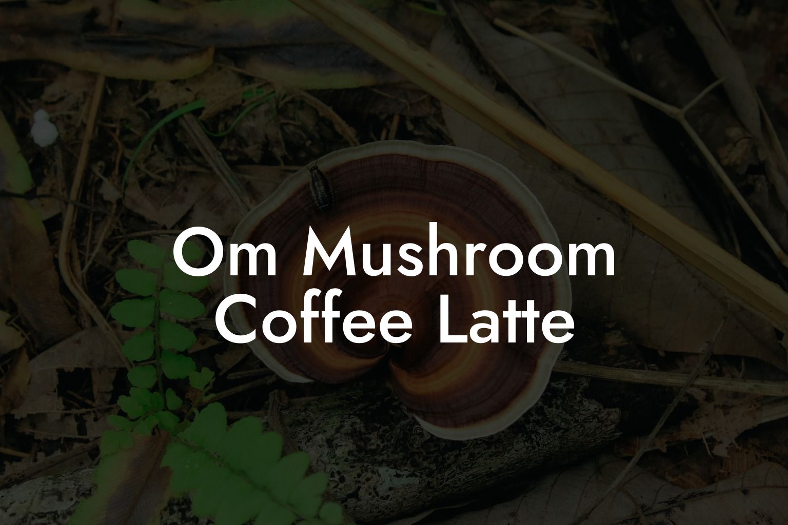 Om Mushroom Coffee Latte