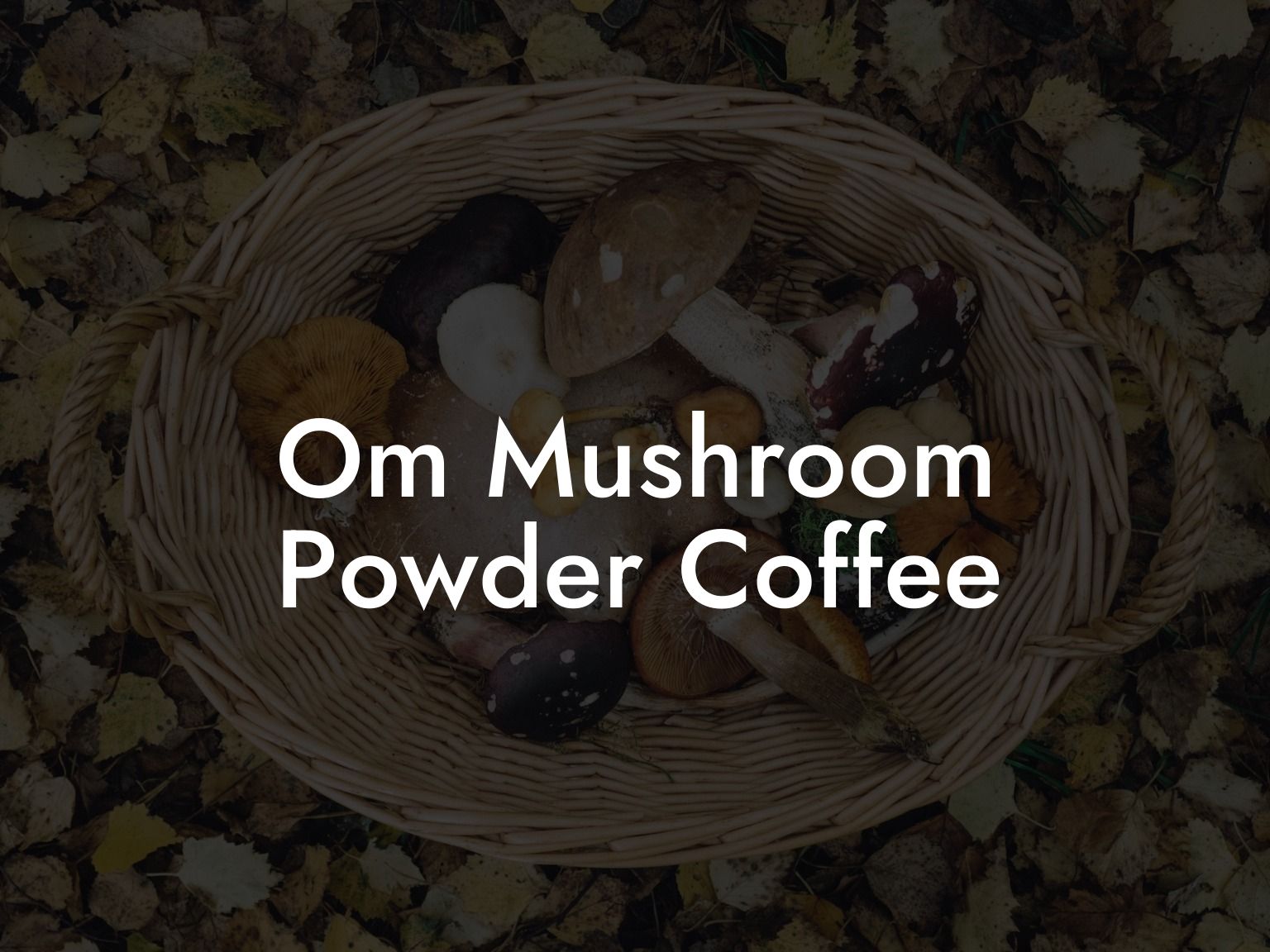 Om Mushroom Powder Coffee