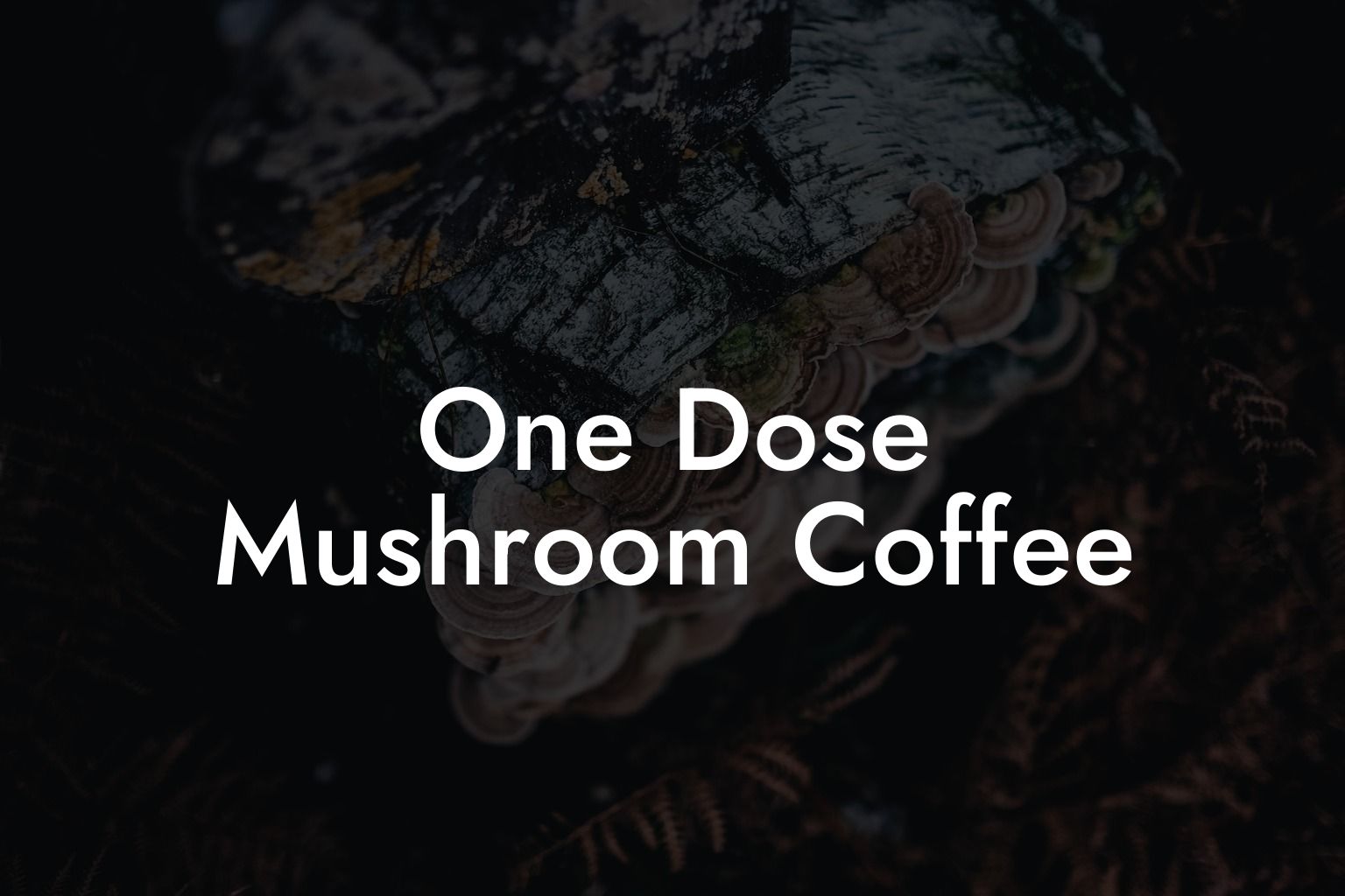 One Dose Mushroom Coffee