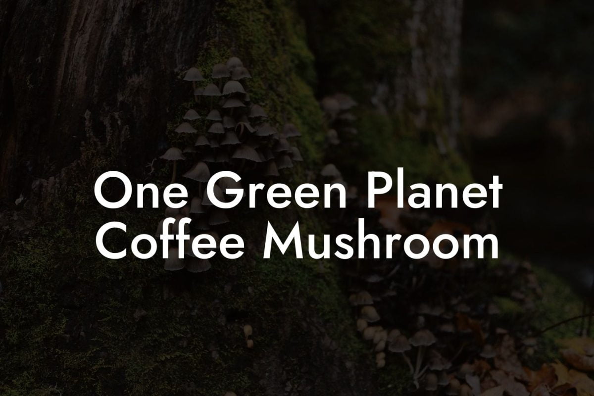 One Green Planet Coffee Mushroom