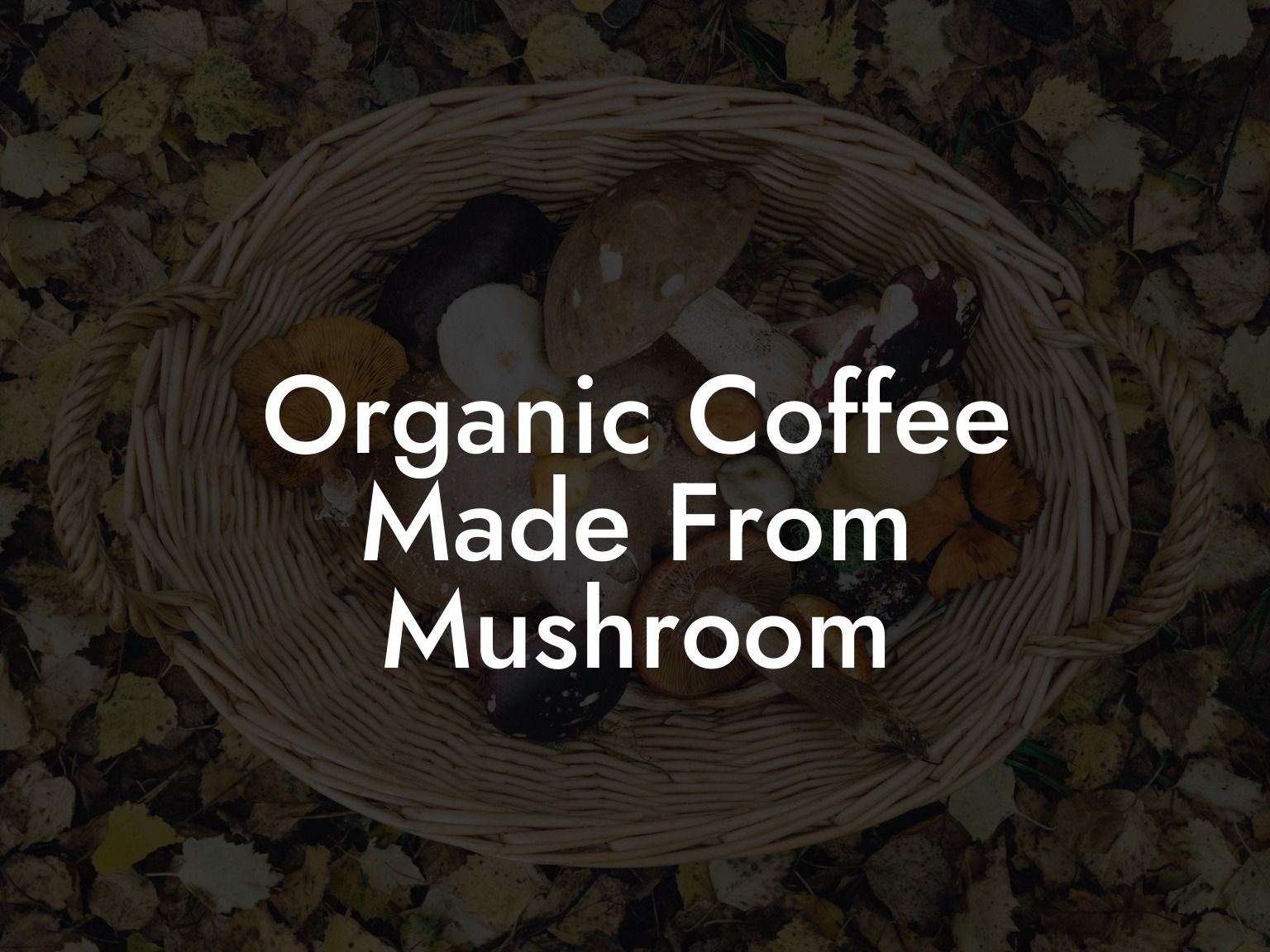 Organic Coffee Made From Mushroom