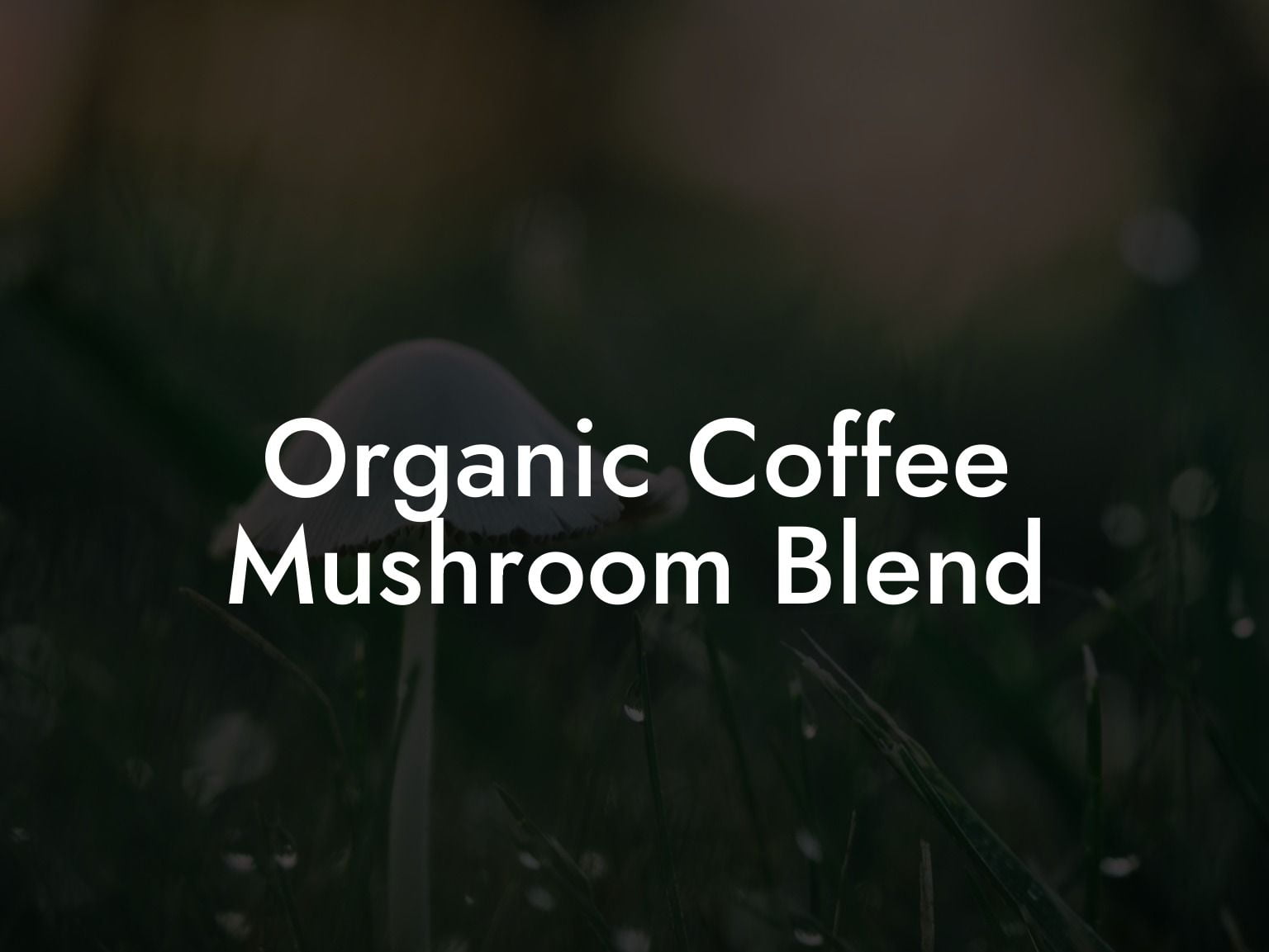 Organic Coffee Mushroom Blend
