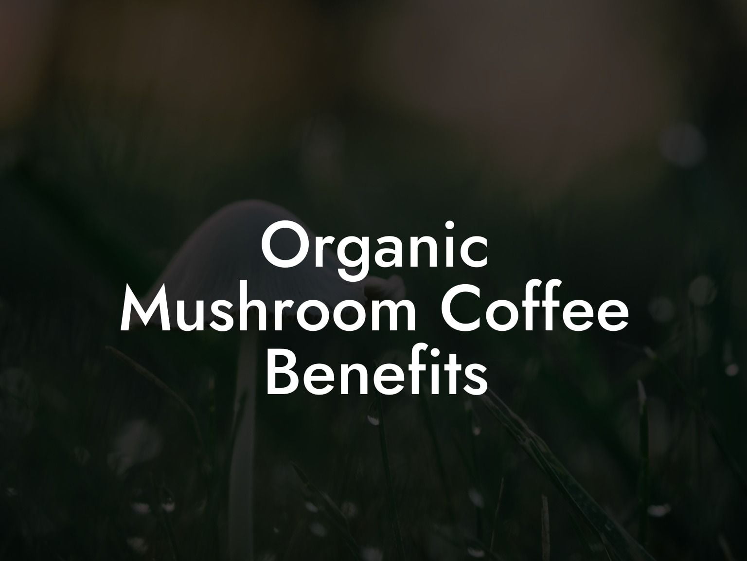 Organic Mushroom Coffee Benefits
