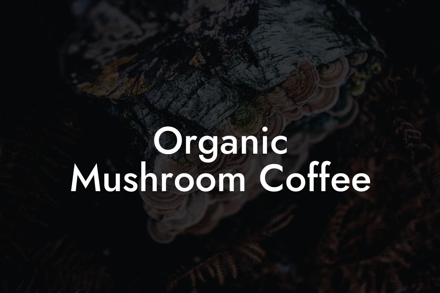 Organic Mushroom Coffee
