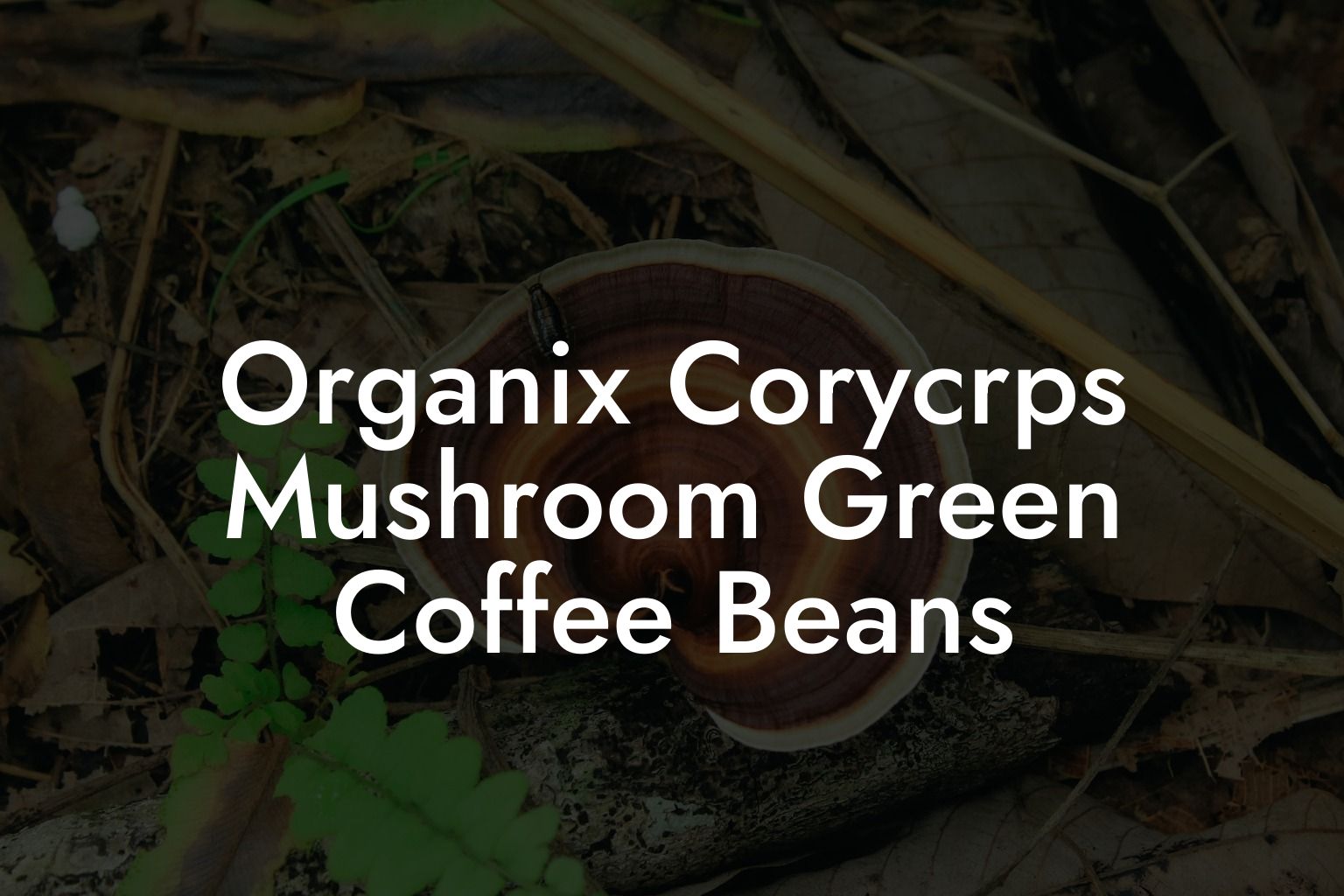 Organix Corycrps Mushroom Green Coffee Beans