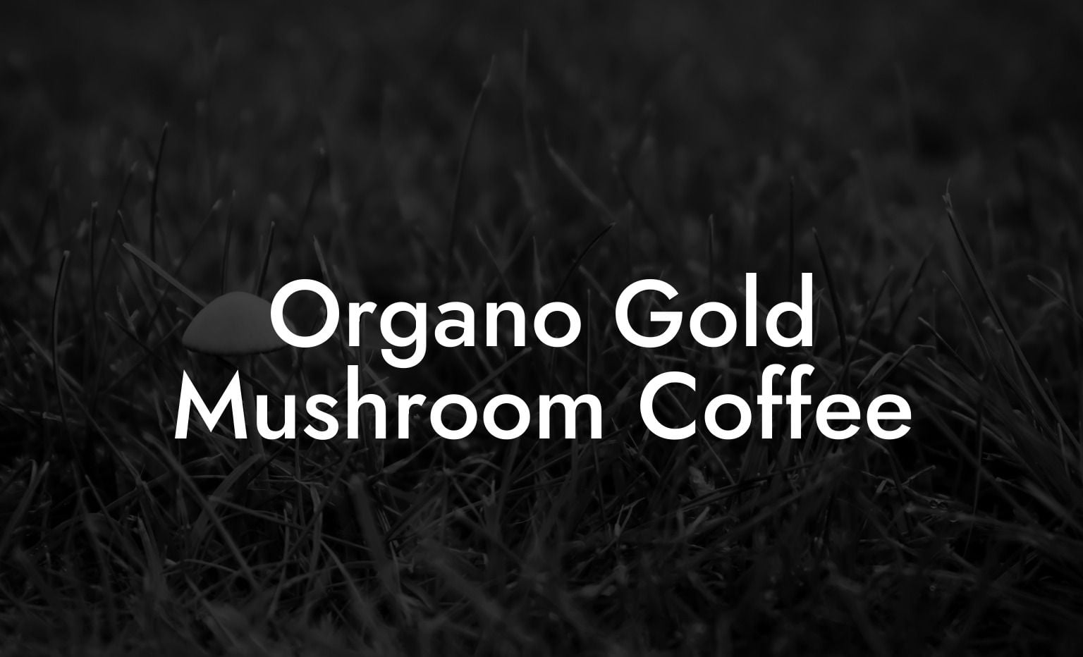 Organo Gold Mushroom Coffee