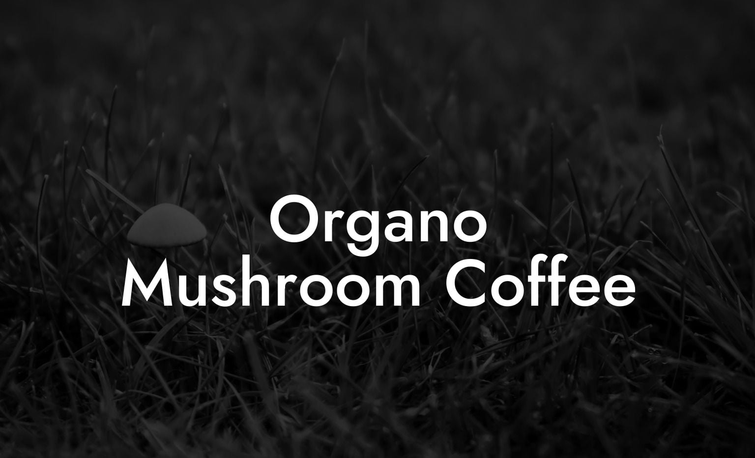 Organo Mushroom Coffee