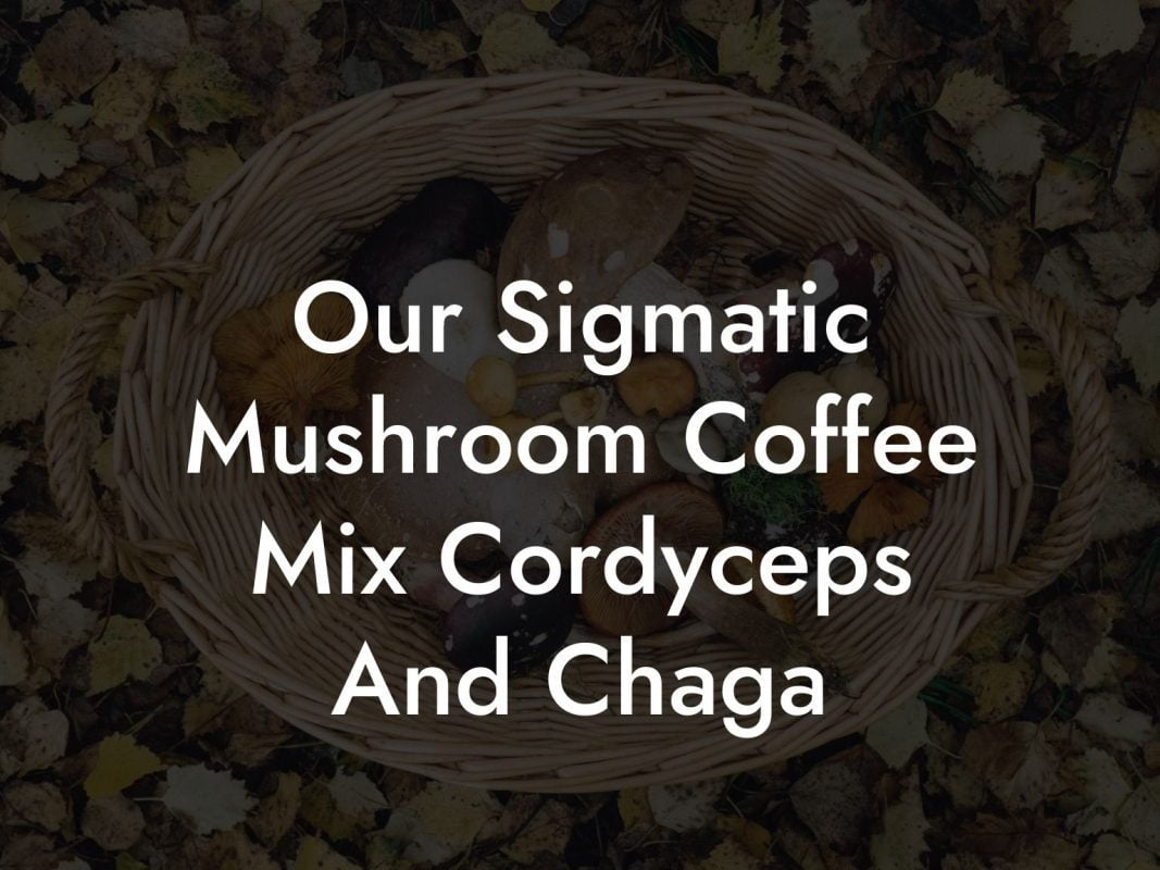 Our Sigmatic Mushroom Coffee Mix Cordyceps And Chaga