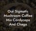 Our Sigmatic Mushroom Coffee Mix Cordyceps And Chaga