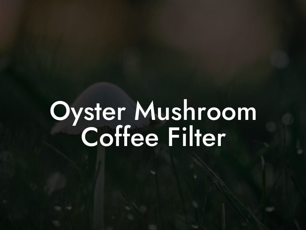 Oyster Mushroom Coffee Filter