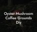 Oyster Mushroom Coffee Grounds Diy