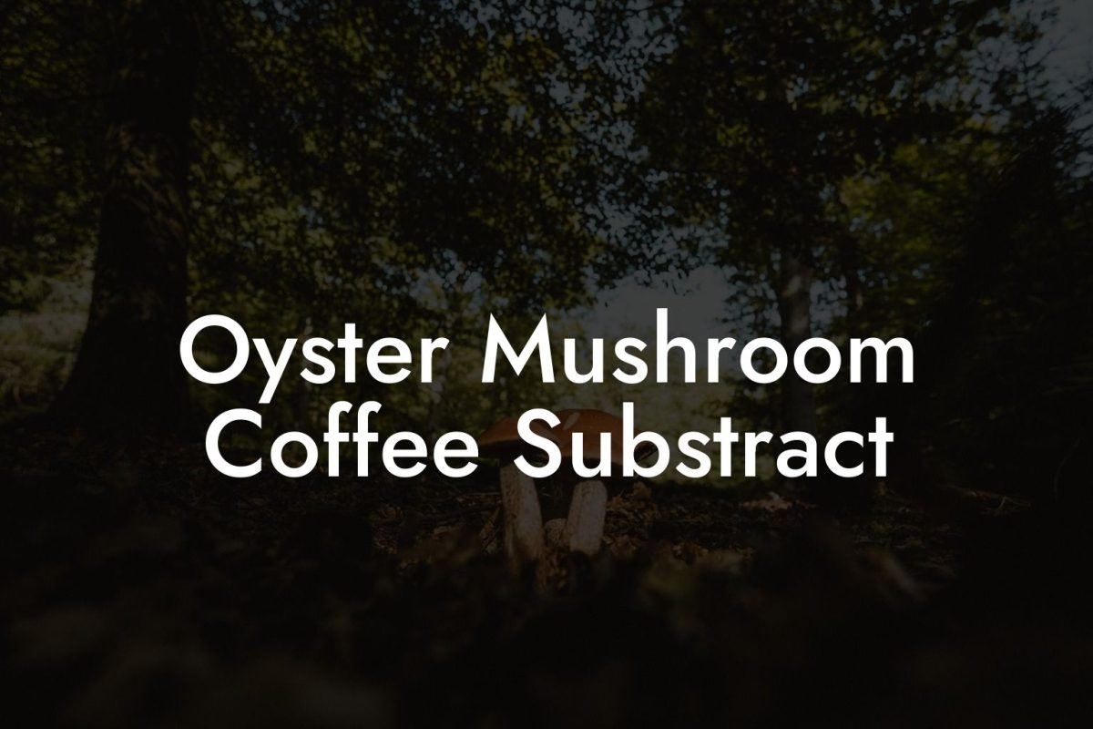 Oyster Mushroom Coffee Substract