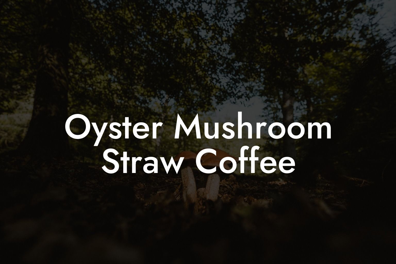 Oyster Mushroom Straw Coffee