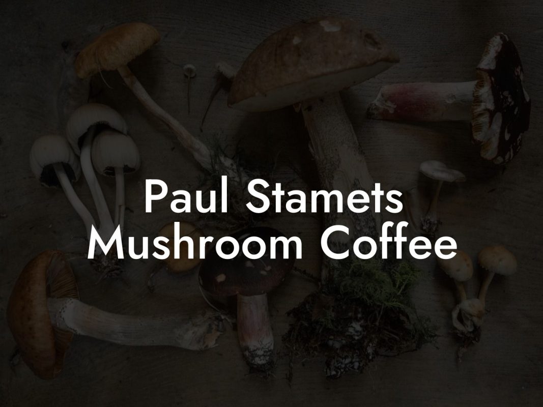 Paul Stamets Mushroom Coffee