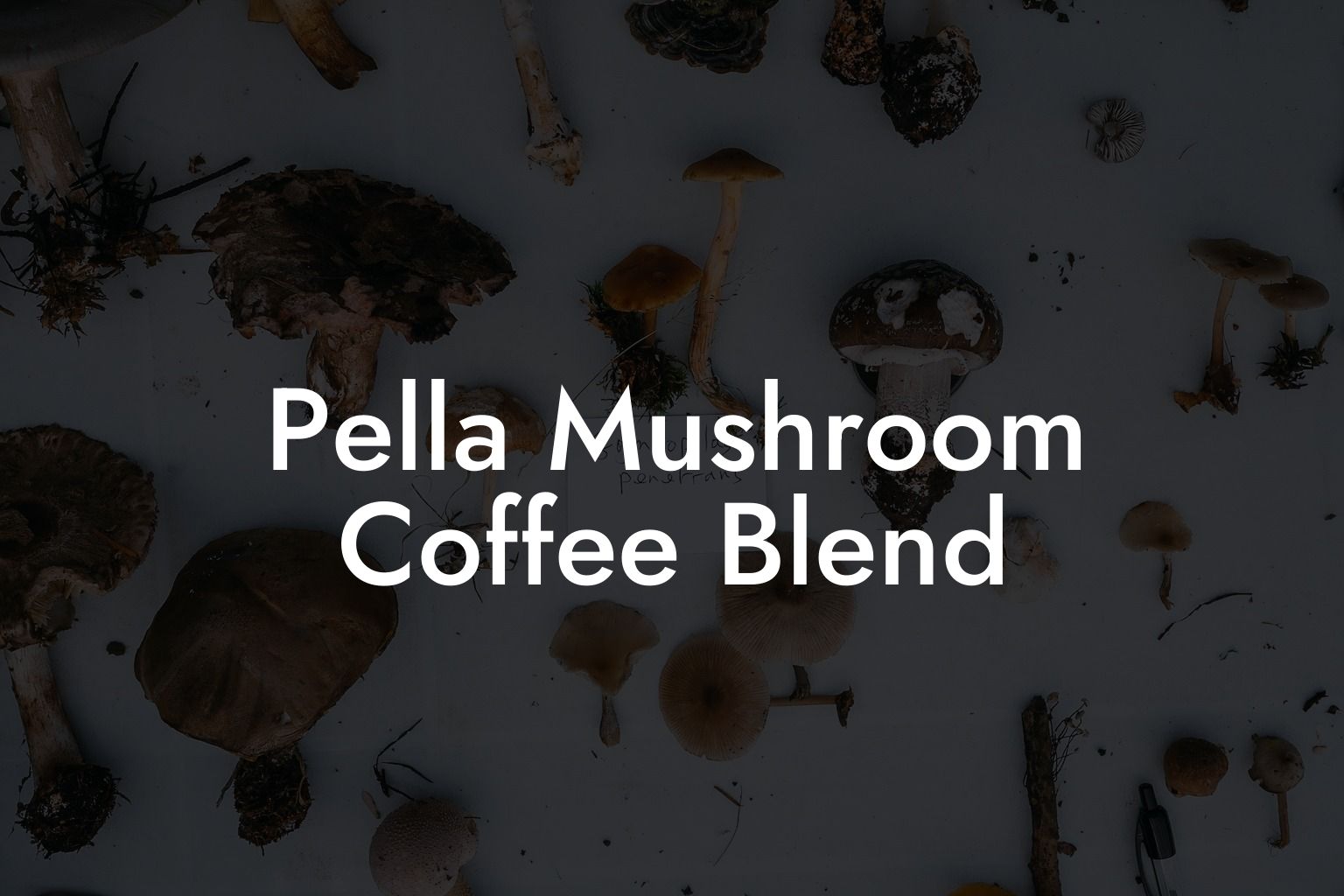 Pella Mushroom Coffee Blend