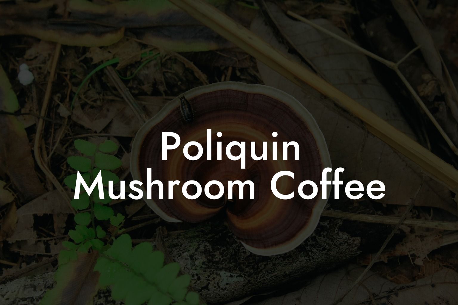 Poliquin Mushroom Coffee
