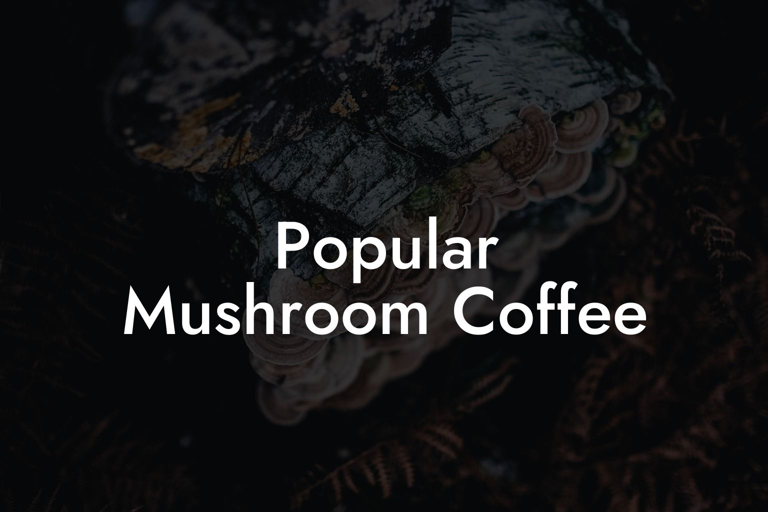 Popular Mushroom Coffee