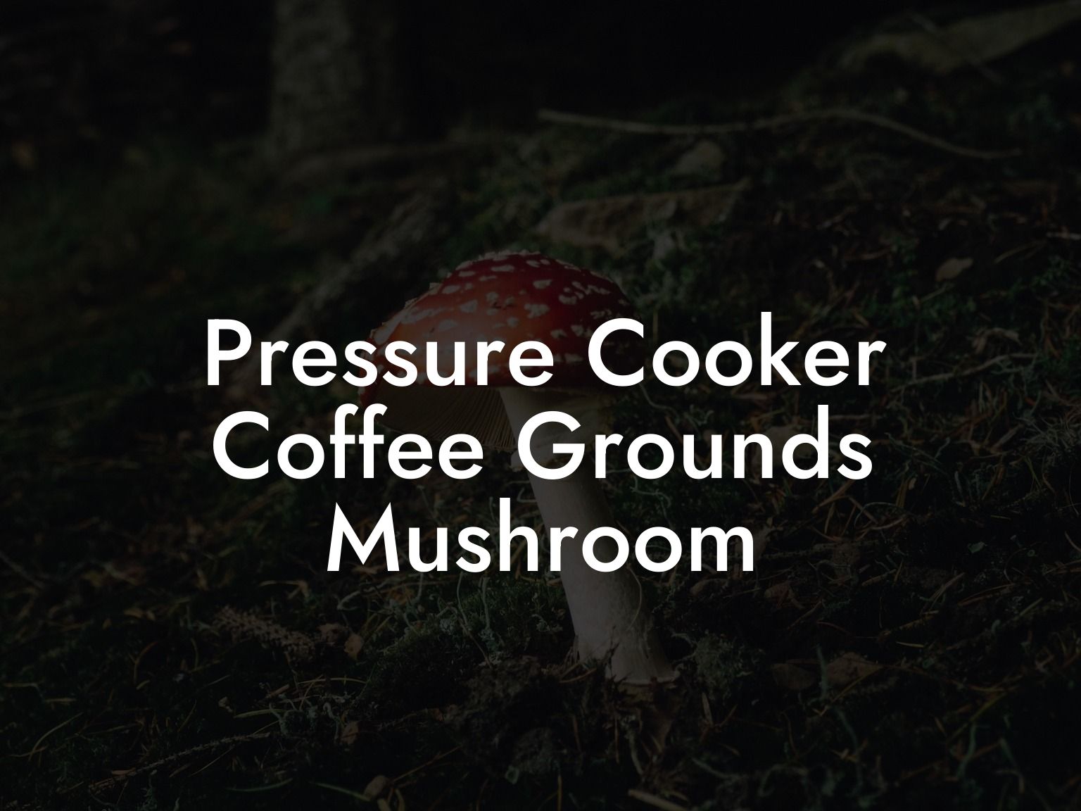 Pressure Cooker Coffee Grounds Mushroom