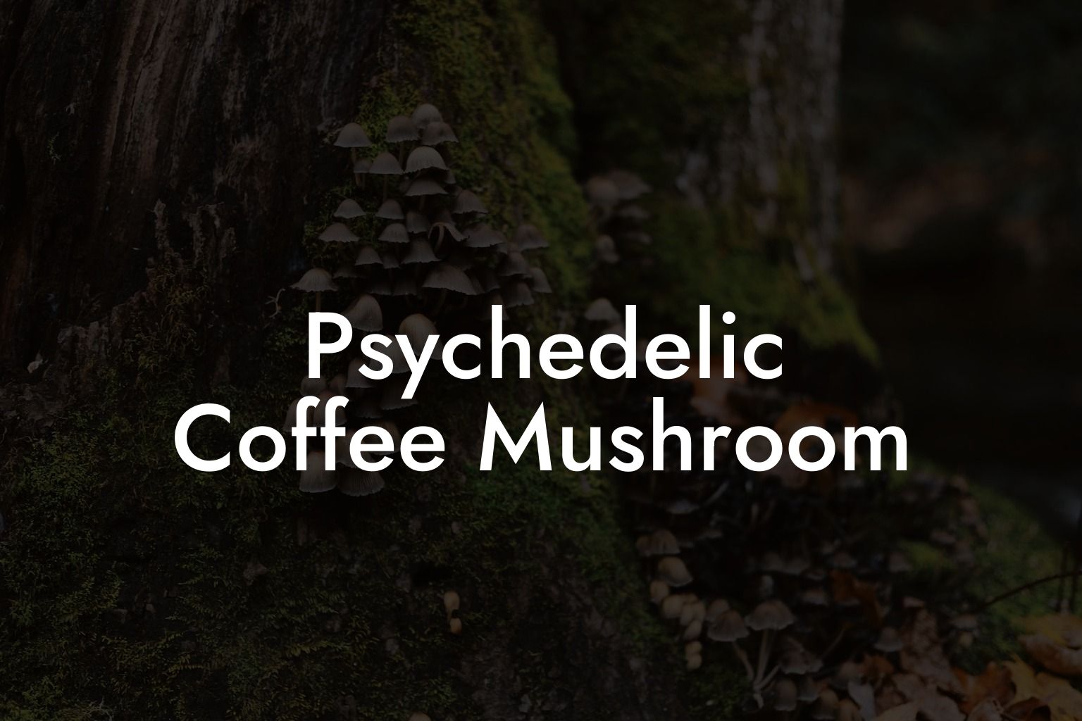 Psychedelic Coffee Mushroom