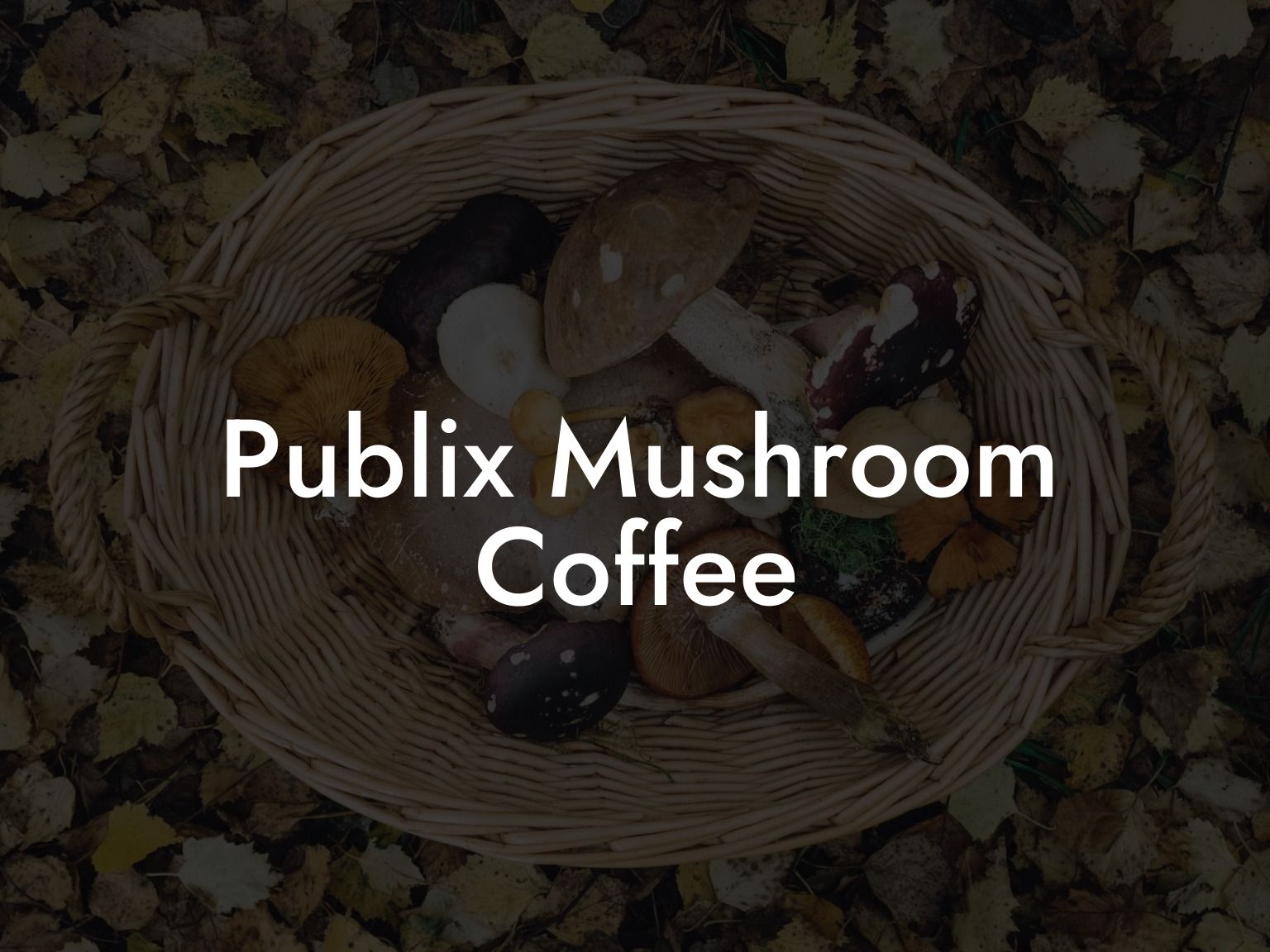 Publix Mushroom Coffee