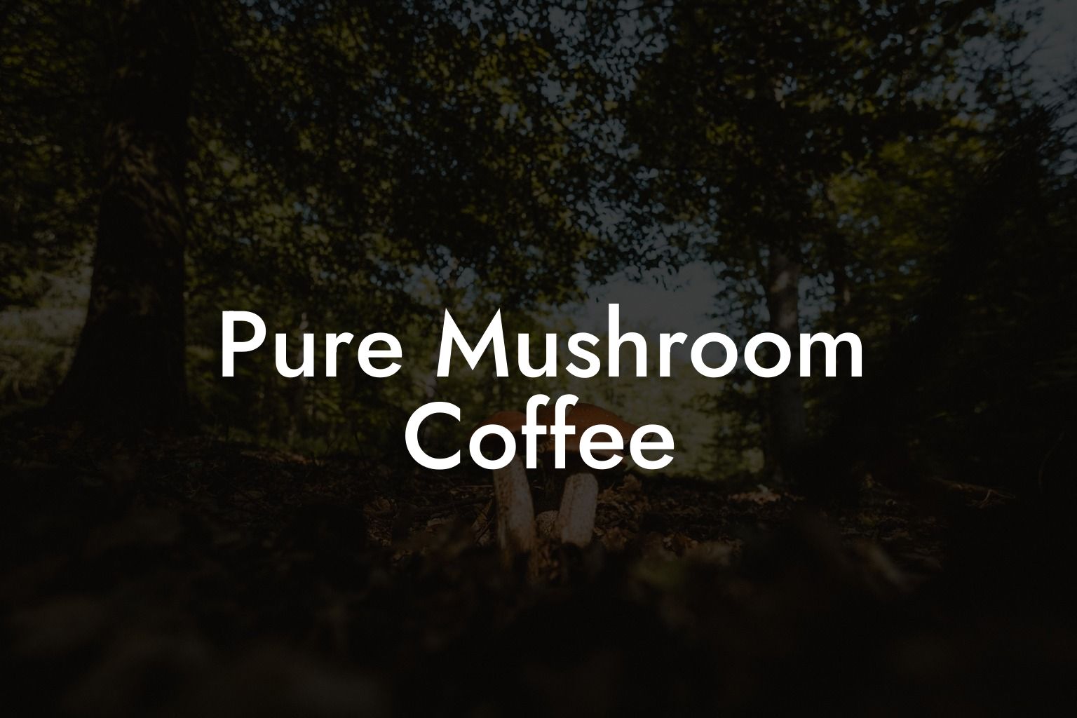 Pure Mushroom Coffee