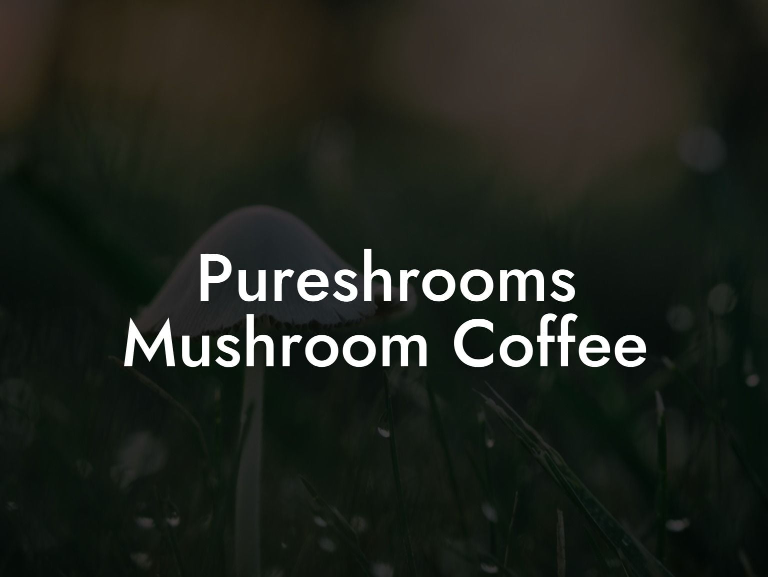 Pureshrooms Mushroom Coffee