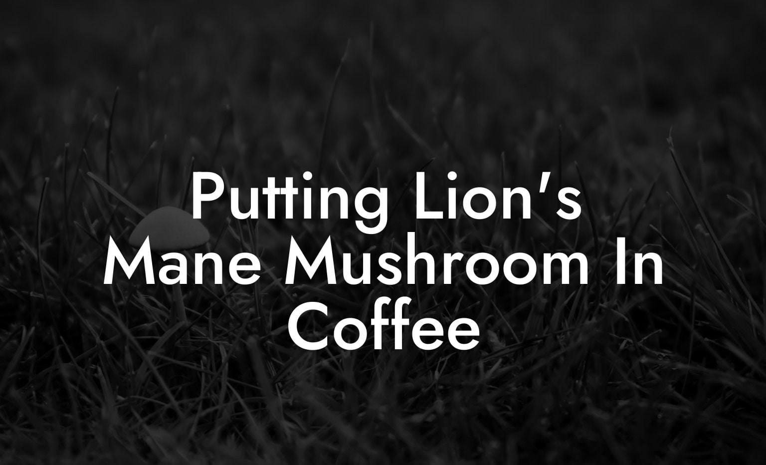 Putting Lion's Mane Mushroom In Coffee