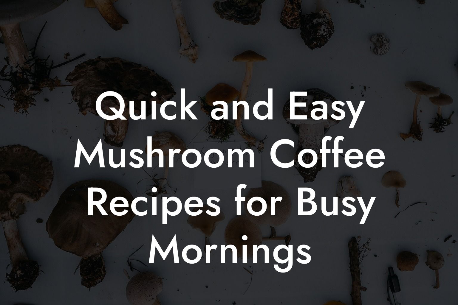 Quick and Easy Mushroom Coffee Recipes for Busy Mornings