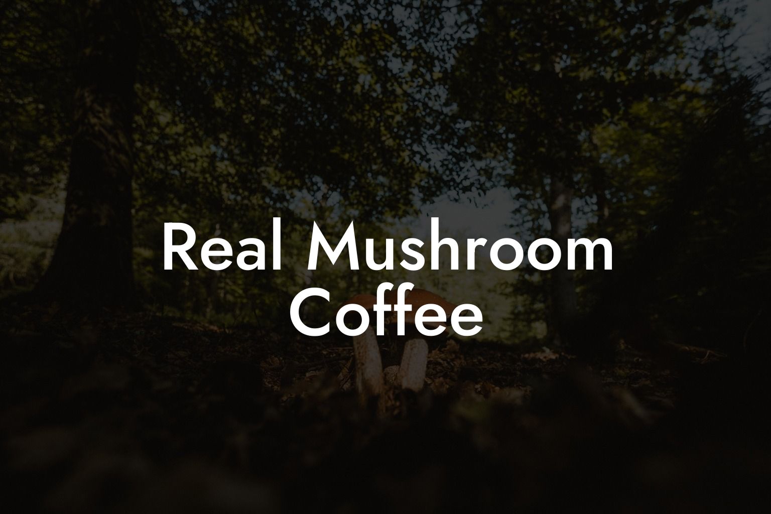 Real Mushroom Coffee