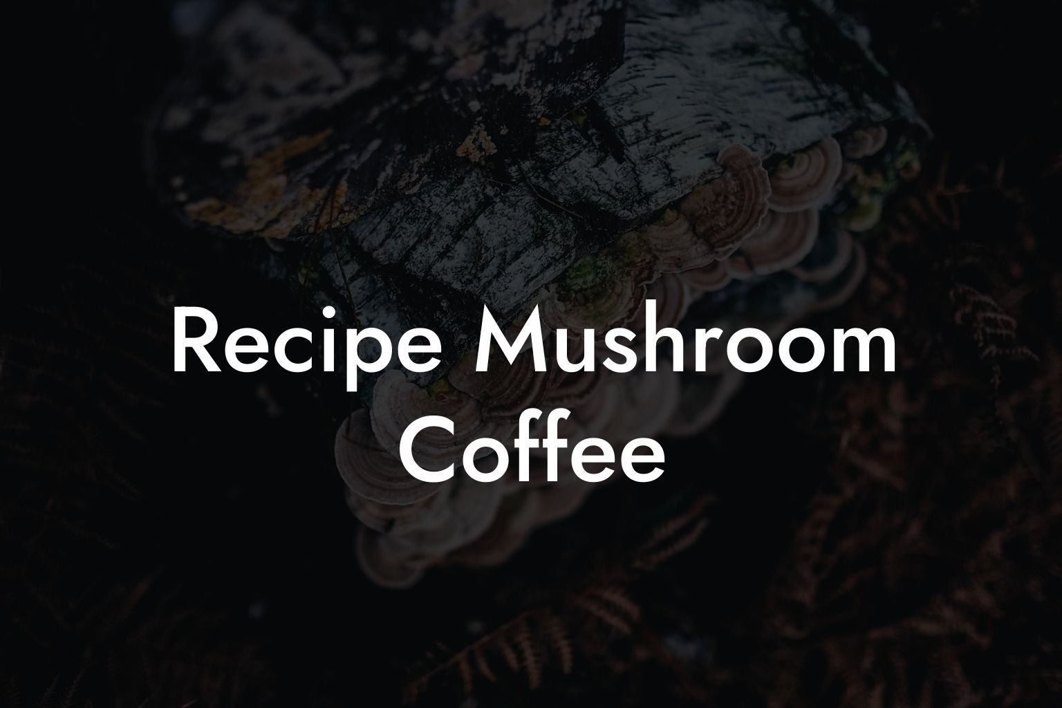 Recipe Mushroom Coffee
