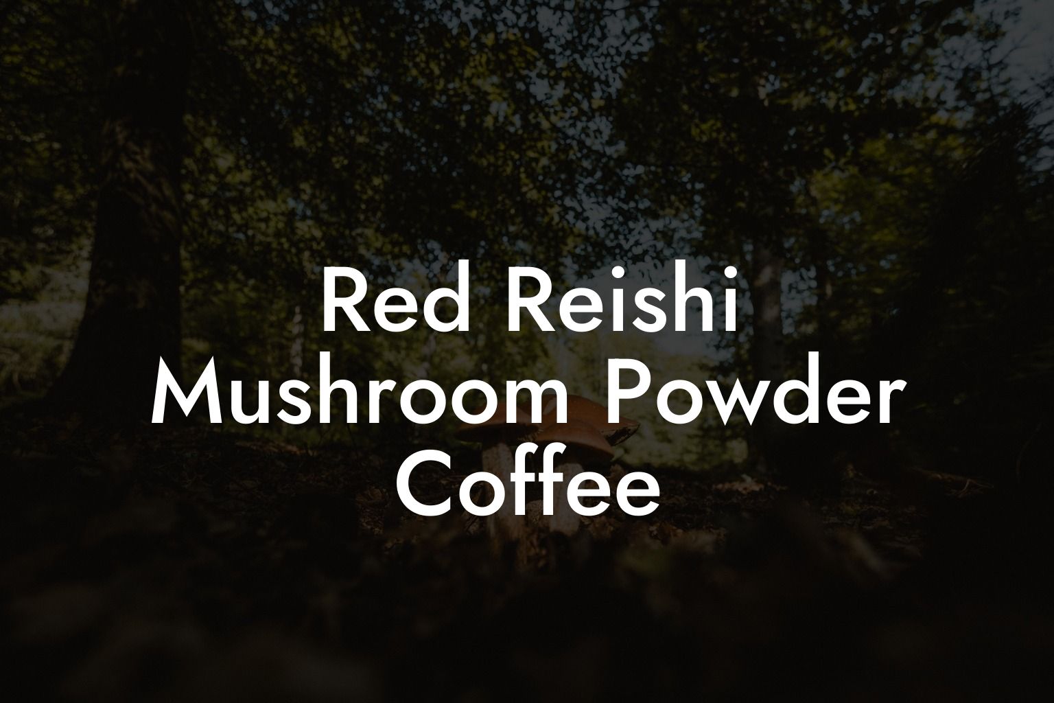 Red Reishi Mushroom Powder Coffee