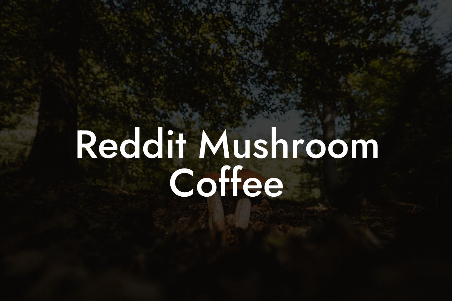 Reddit Mushroom Coffee