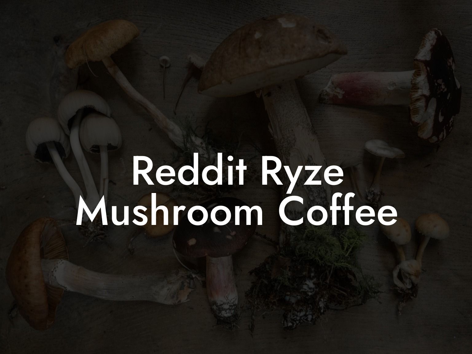 Reddit Ryze Mushroom Coffee