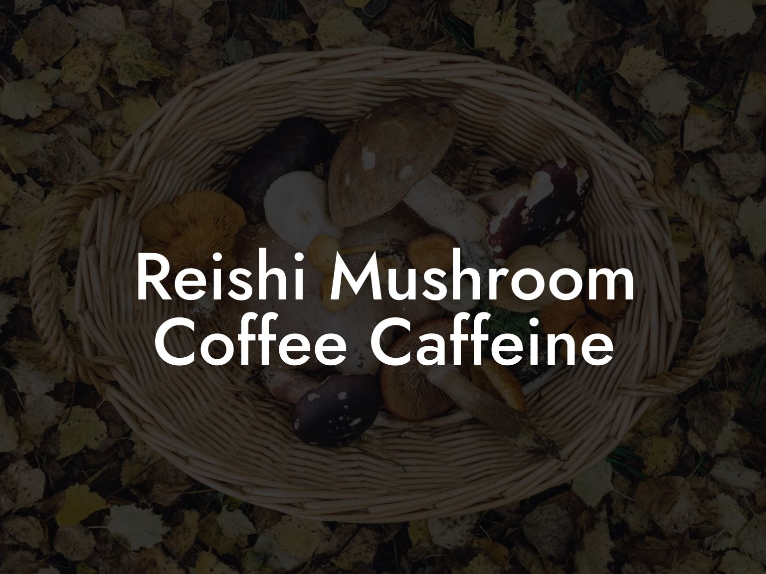 Reishi Mushroom Coffee Caffeine