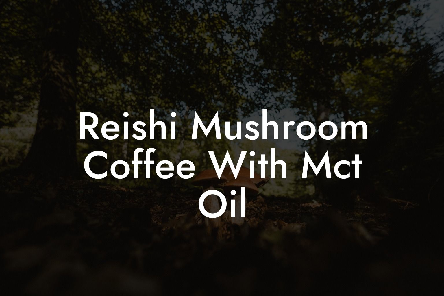 Reishi Mushroom Coffee With Mct Oil