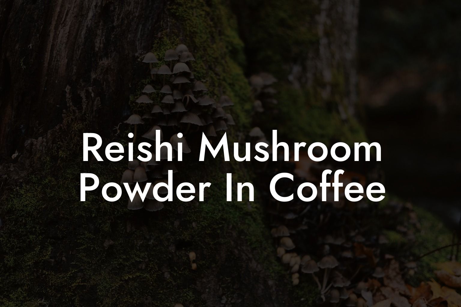 Reishi Mushroom Powder In Coffee