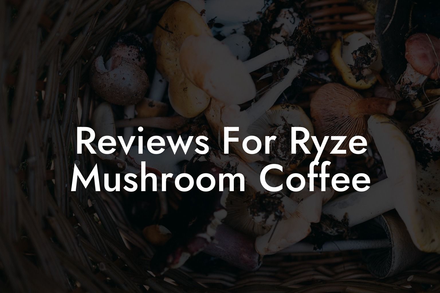 Reviews For Ryze Mushroom Coffee - Mr Mushroom