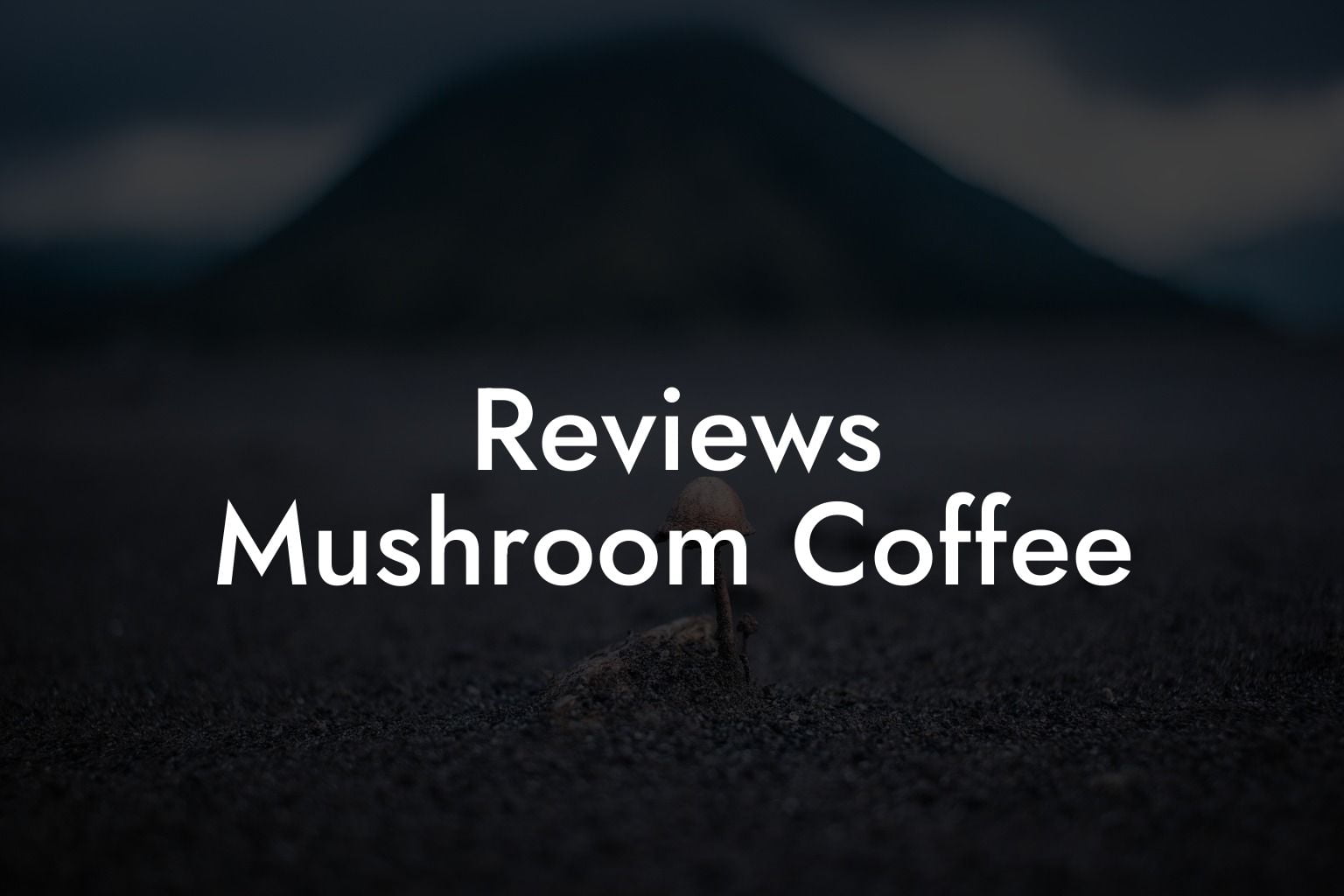 Reviews Mushroom Coffee Mr Mushroom