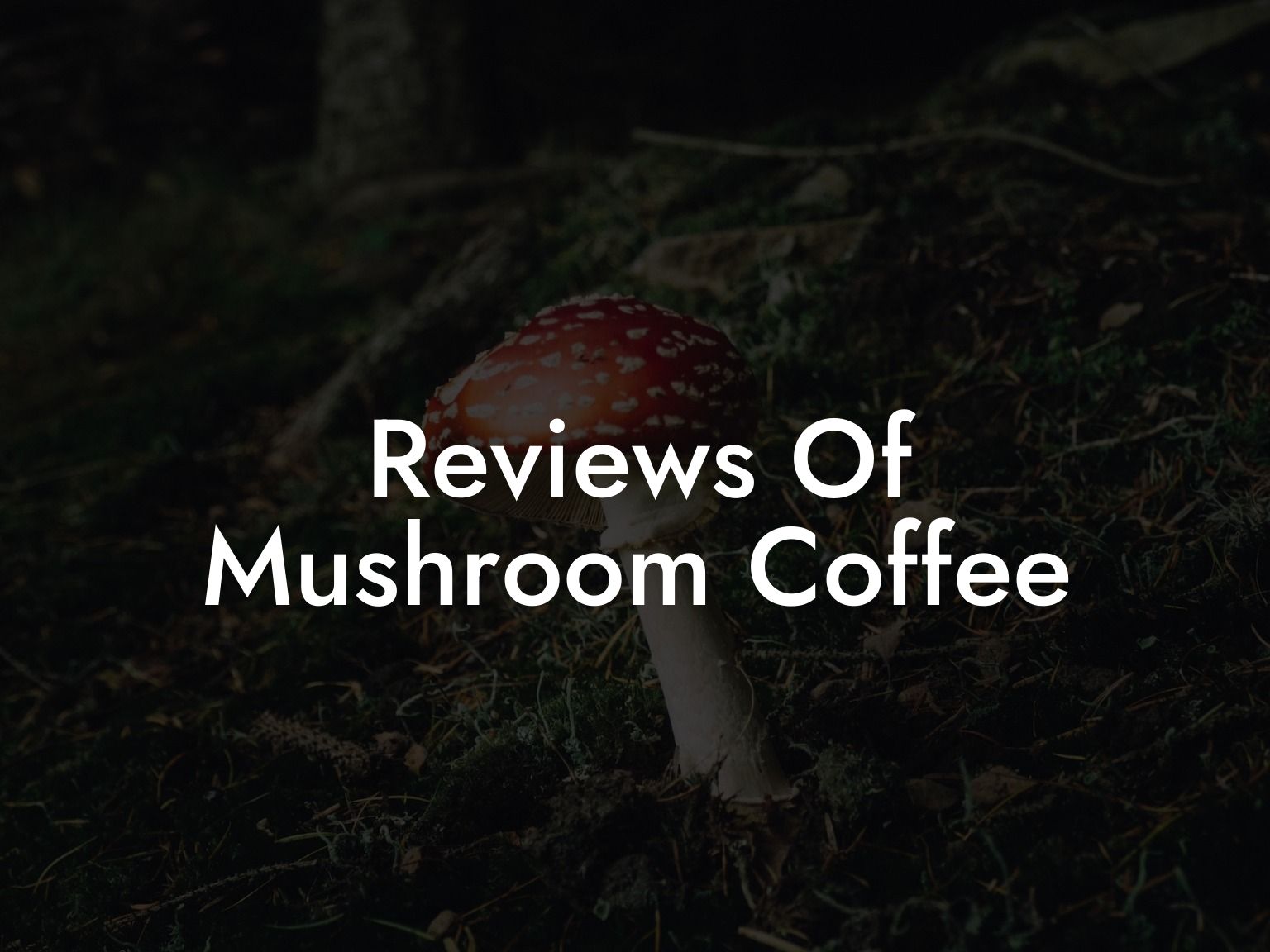 Reviews Of Mushroom Coffee
