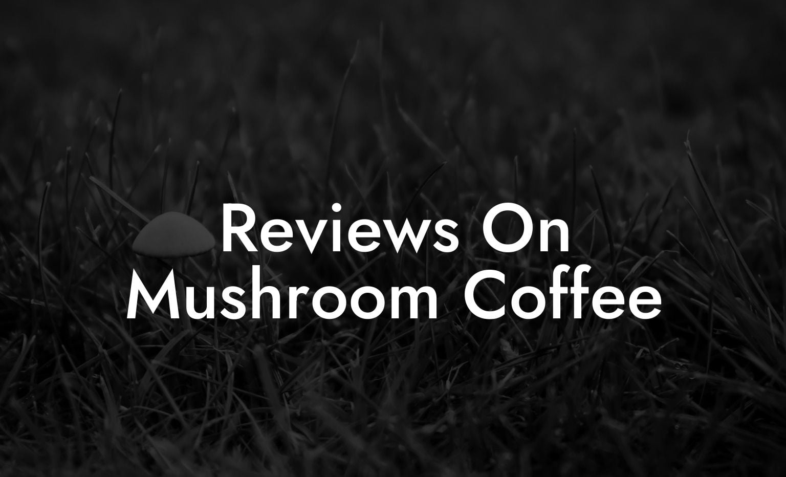 Reviews On Mushroom Coffee